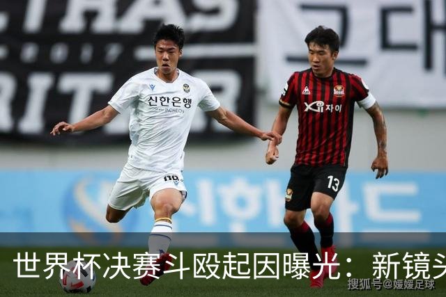 世界杯决赛斗殴起因曝光：新镜头拍到莫利纳一拳打在罗德里腹部