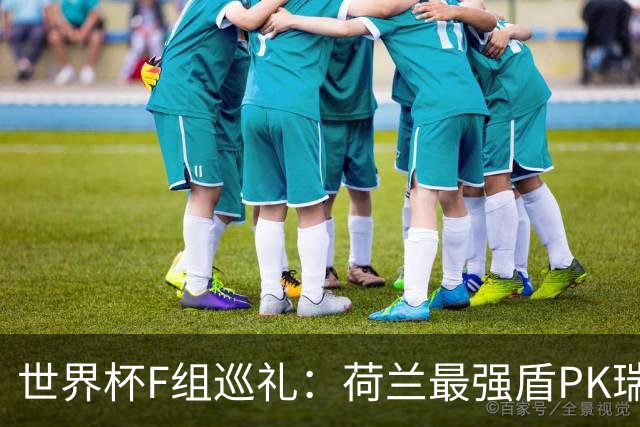 世界杯F组巡礼：荷兰最强盾PK瑞典犀利刀 日本短板明显