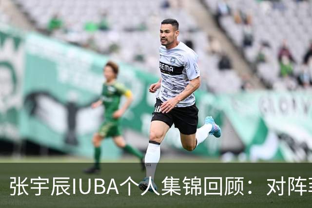张宇辰IUBA个人集锦回顾：对阵菲律宾末节连进4记三分
