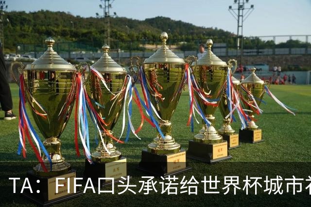 TA：FIFA口头承诺给世界杯城市补贴但至今没消息，美国各市在追讨