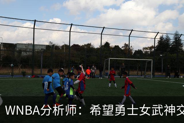 WNBA分析师：希望勇士女武神交易得到普拉姆，她与主帅有夺冠旧情